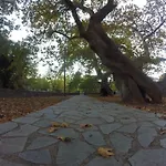 Stephania's Stone House Εξοχικό σπίτι Καρυές