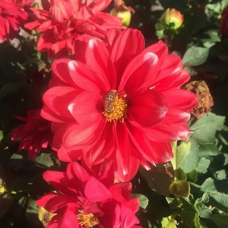 Stephania's Stone House * Karyes