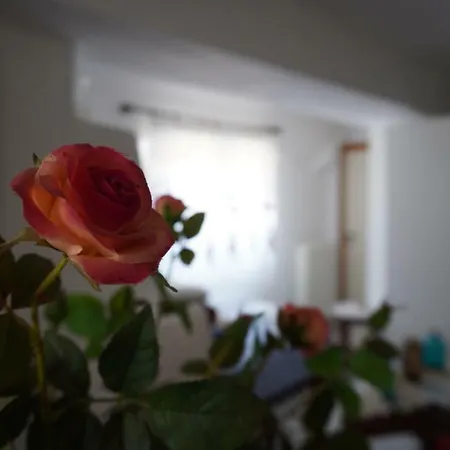 Landhaus Stephania's Stone House Karyes