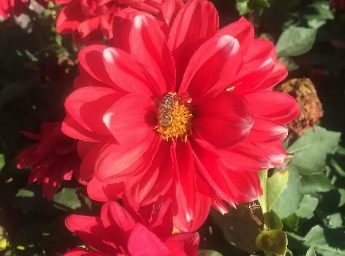 Stephania's Stone House * Karyes