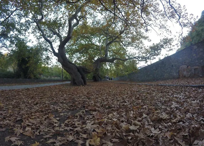 Stephania's Stone House Karyes