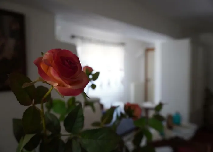 Lantställe Stephania's Stone House Karyes